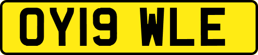 OY19WLE