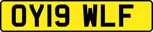 OY19WLF