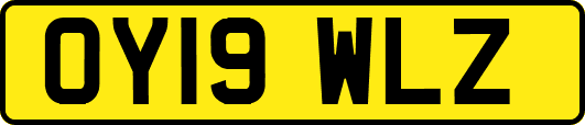 OY19WLZ