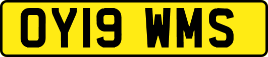 OY19WMS
