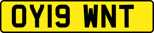 OY19WNT