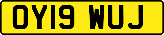 OY19WUJ