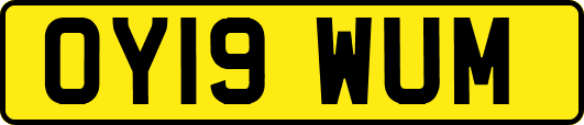 OY19WUM