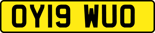 OY19WUO