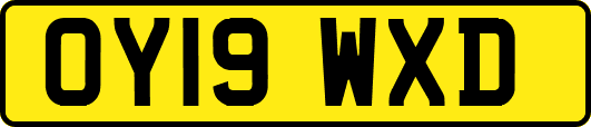 OY19WXD
