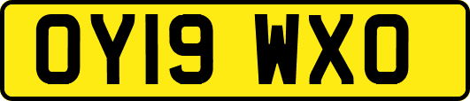 OY19WXO