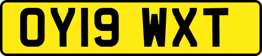 OY19WXT
