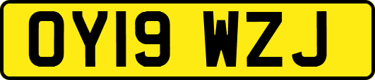 OY19WZJ