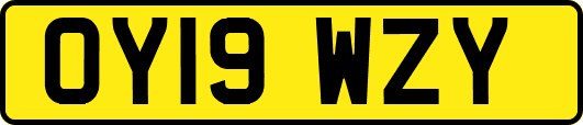 OY19WZY