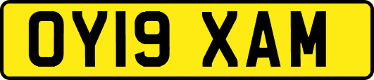 OY19XAM