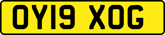 OY19XOG