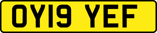 OY19YEF