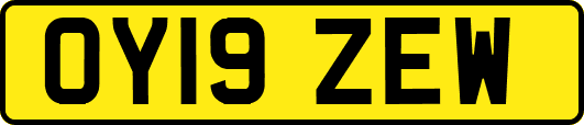 OY19ZEW