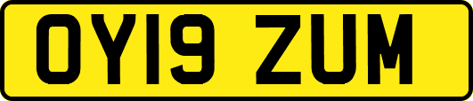 OY19ZUM