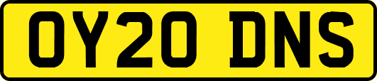 OY20DNS