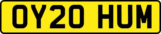OY20HUM