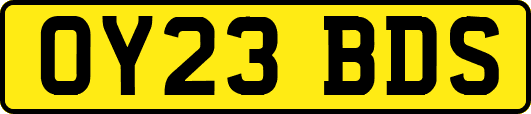 OY23BDS