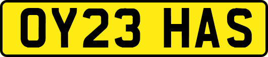 OY23HAS