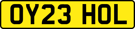 OY23HOL