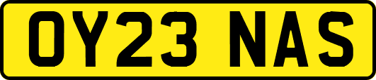 OY23NAS