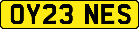 OY23NES