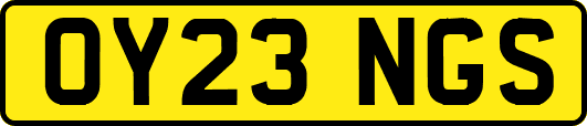 OY23NGS