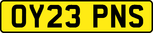 OY23PNS