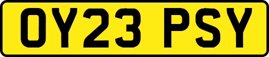OY23PSY