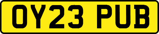 OY23PUB