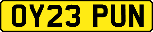 OY23PUN