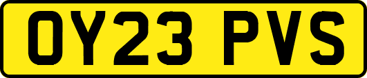 OY23PVS