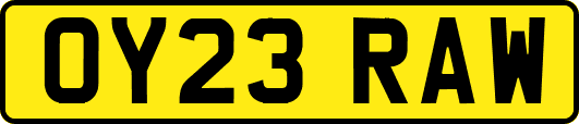OY23RAW