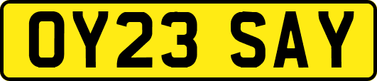 OY23SAY