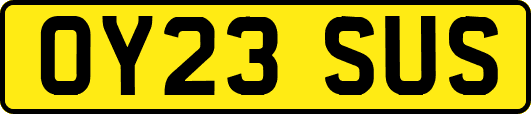 OY23SUS