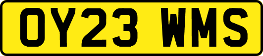 OY23WMS