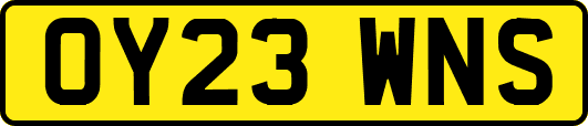 OY23WNS