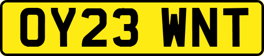 OY23WNT