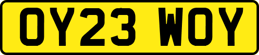 OY23WOY
