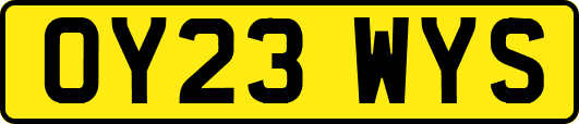 OY23WYS