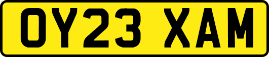 OY23XAM