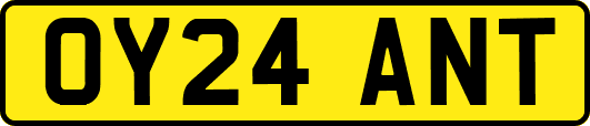 OY24ANT
