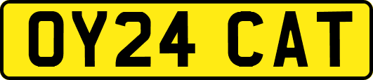 OY24CAT