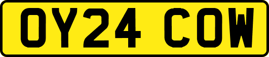 OY24COW