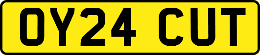OY24CUT