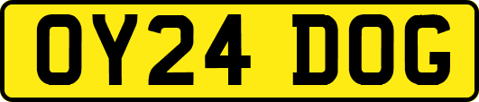 OY24DOG