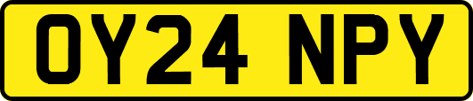 OY24NPY