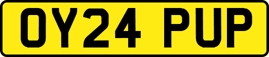 OY24PUP