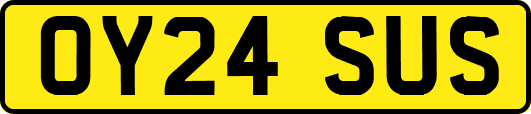 OY24SUS