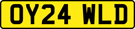OY24WLD