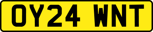 OY24WNT